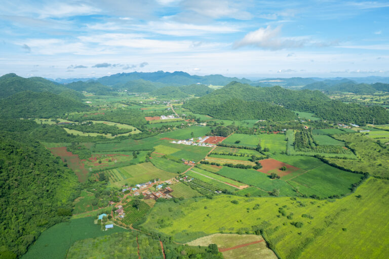 The Agricultural Industry in Kenya